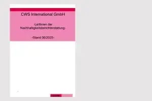 Download Bild Leitlinien Nachhaltigskeitsberichterstattung