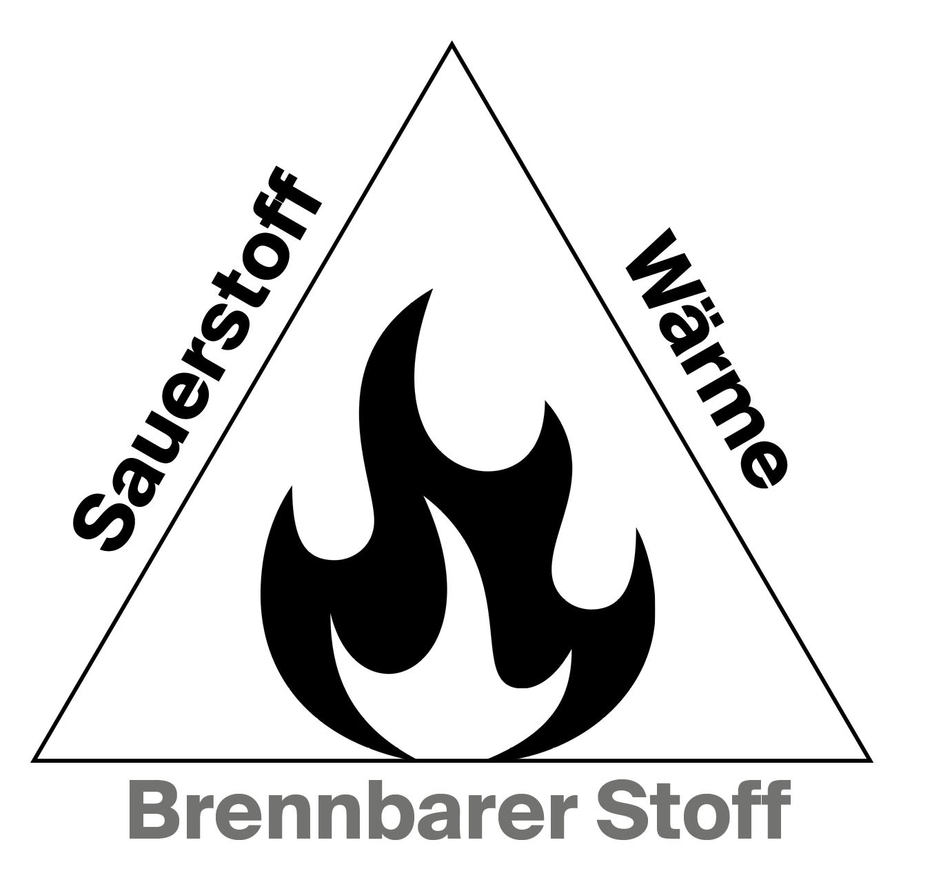 feuerdreieick-brandschutz server-cws fire safety