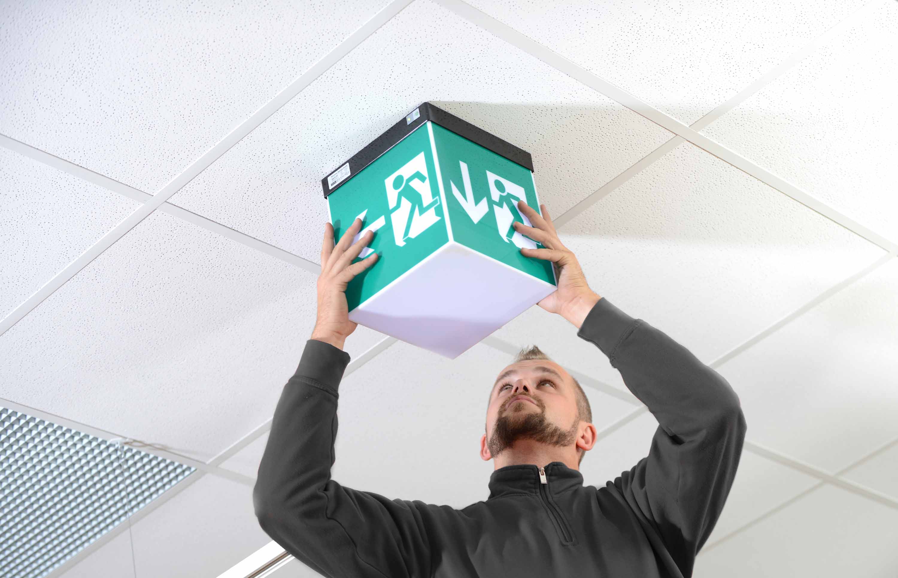 Safety labels