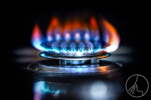 Gasgeruch erkennen Gas im Haus CWS Fire Safety S-c