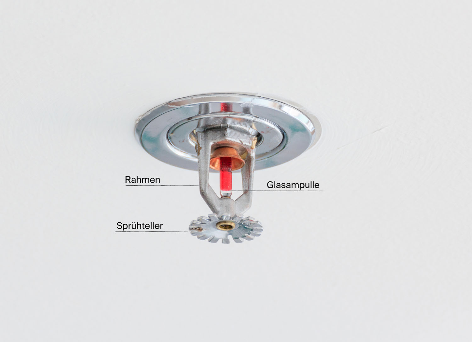 Sprinkler-Aufbau-CWS Fire Safey