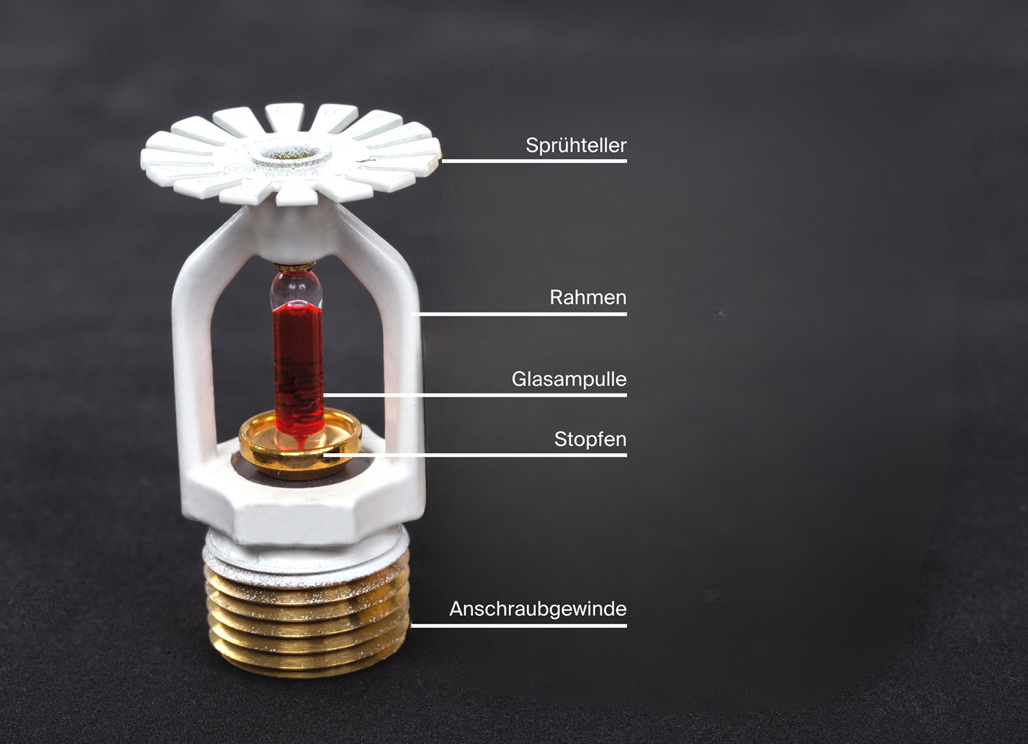 Sprinkler weiß-Aufbau-Wie funktioniert ein Sprinkler-CWS Fire Safey