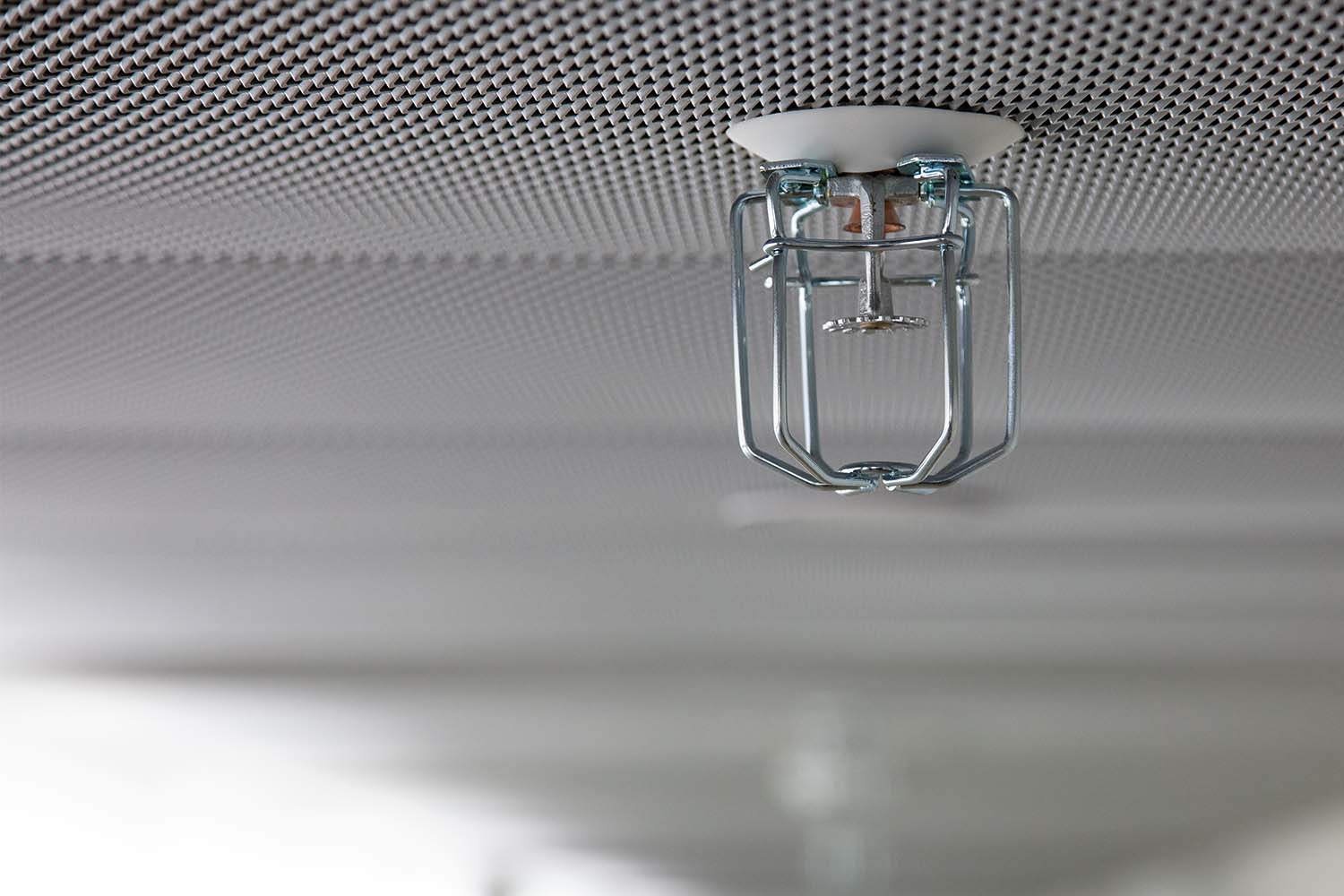 Sprinkleranlage: Kosten