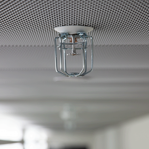 Sprinkleranlage